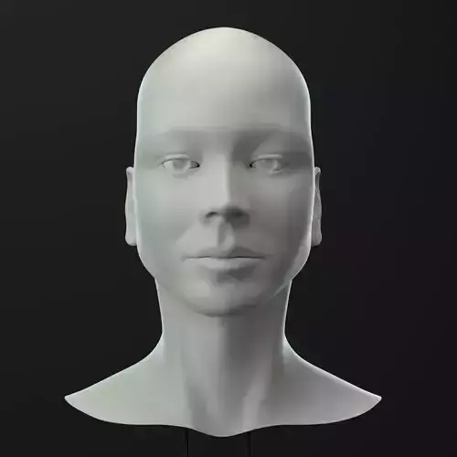 Female Head 3D model