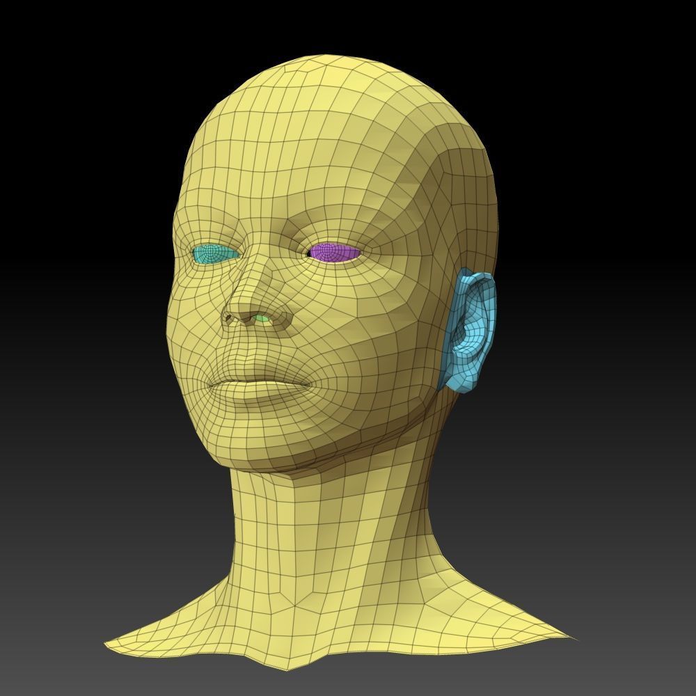 Female Head 3D model_18