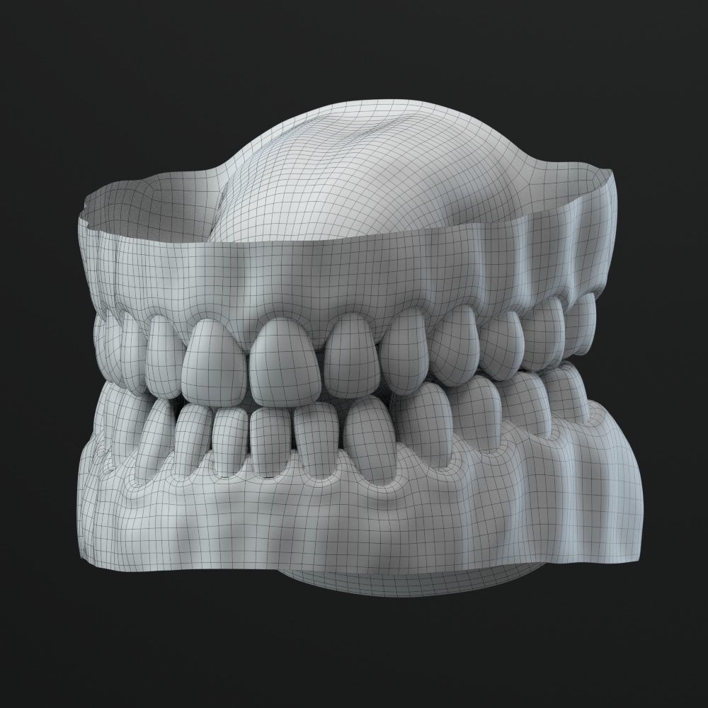 Female Head 3D model_11