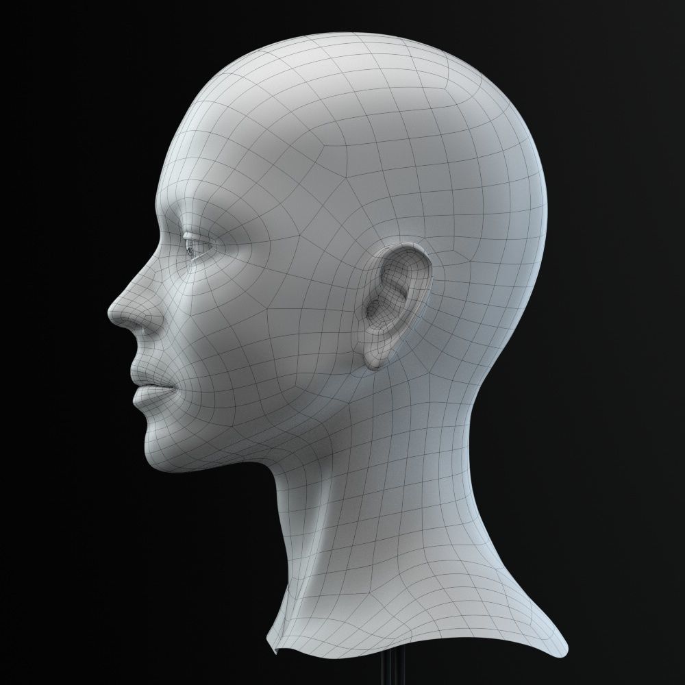 Female Head 3D model_10