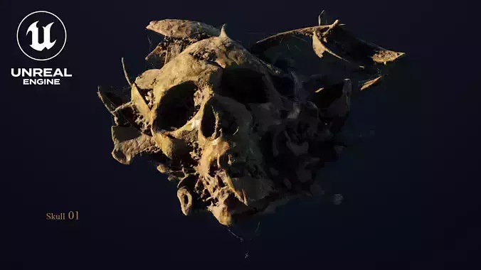 Broken Skull with Spiderwebs and Cobwebs for Unreal  Engine 5
