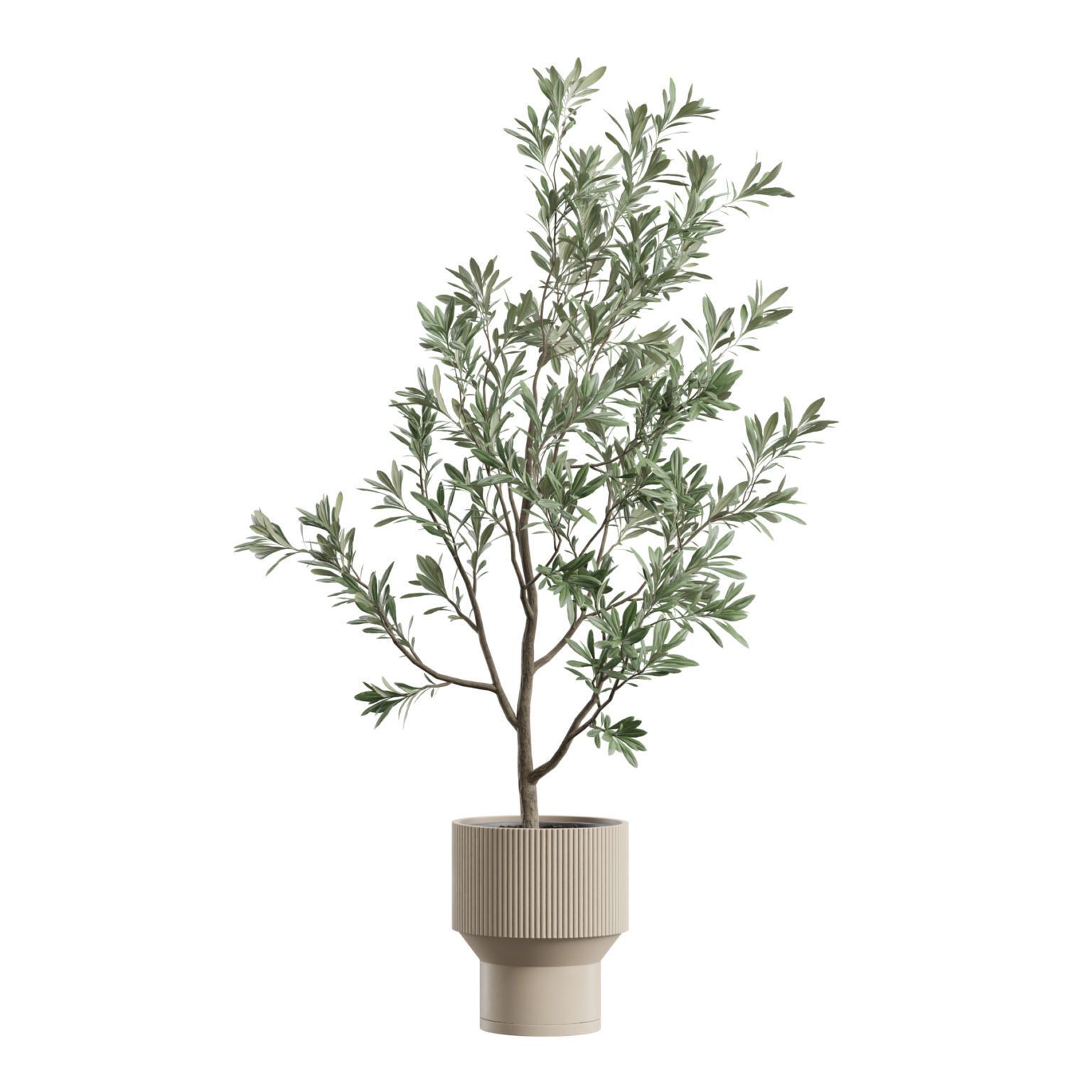 Indoor Plants Pack 79 3D model_5