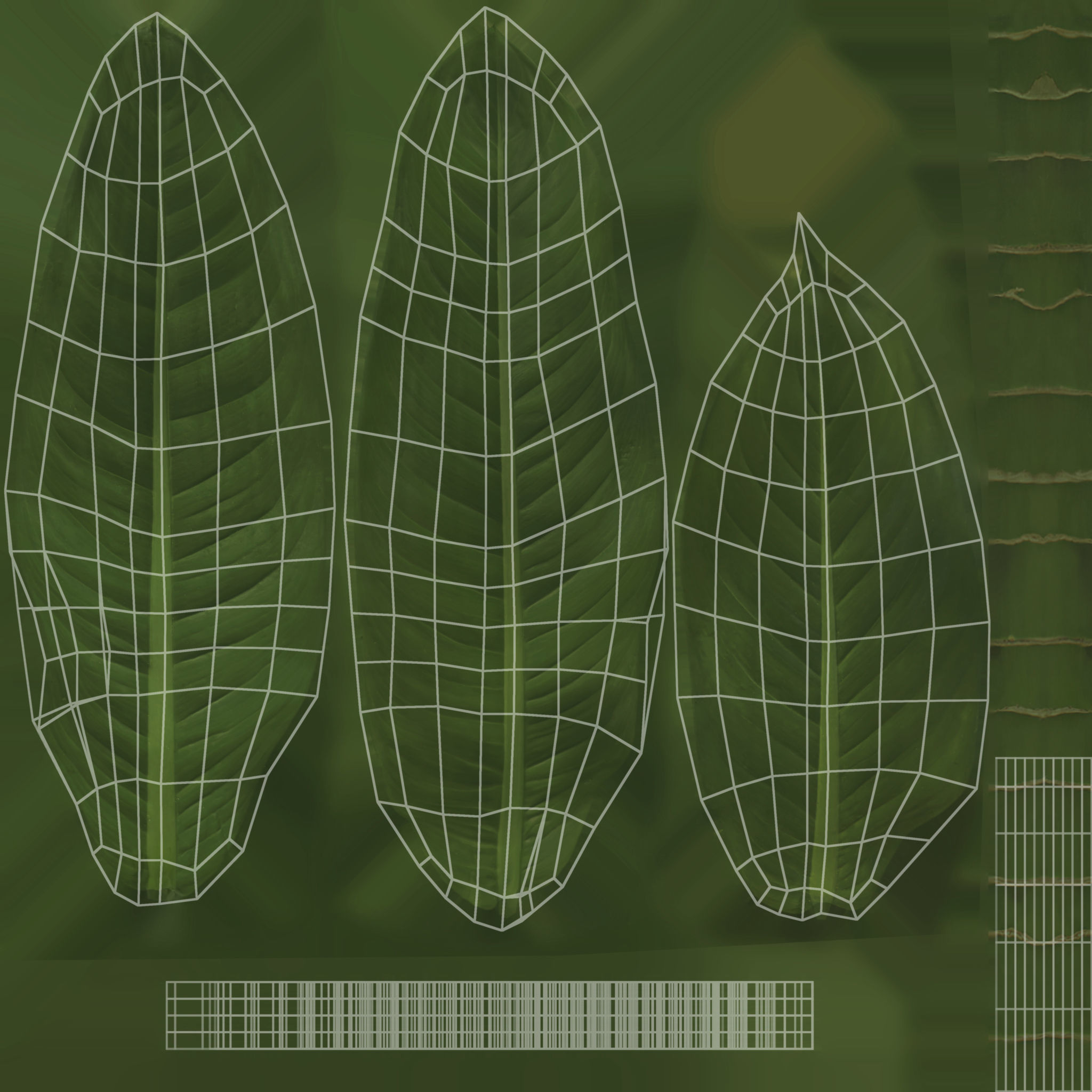 Indoor Plants Pack 79 3D model_11