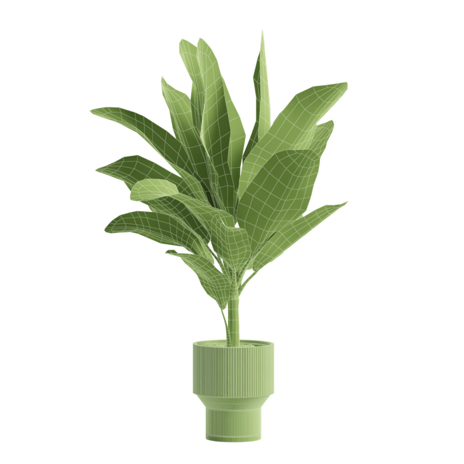 Indoor Plants Pack 79 3D model_10