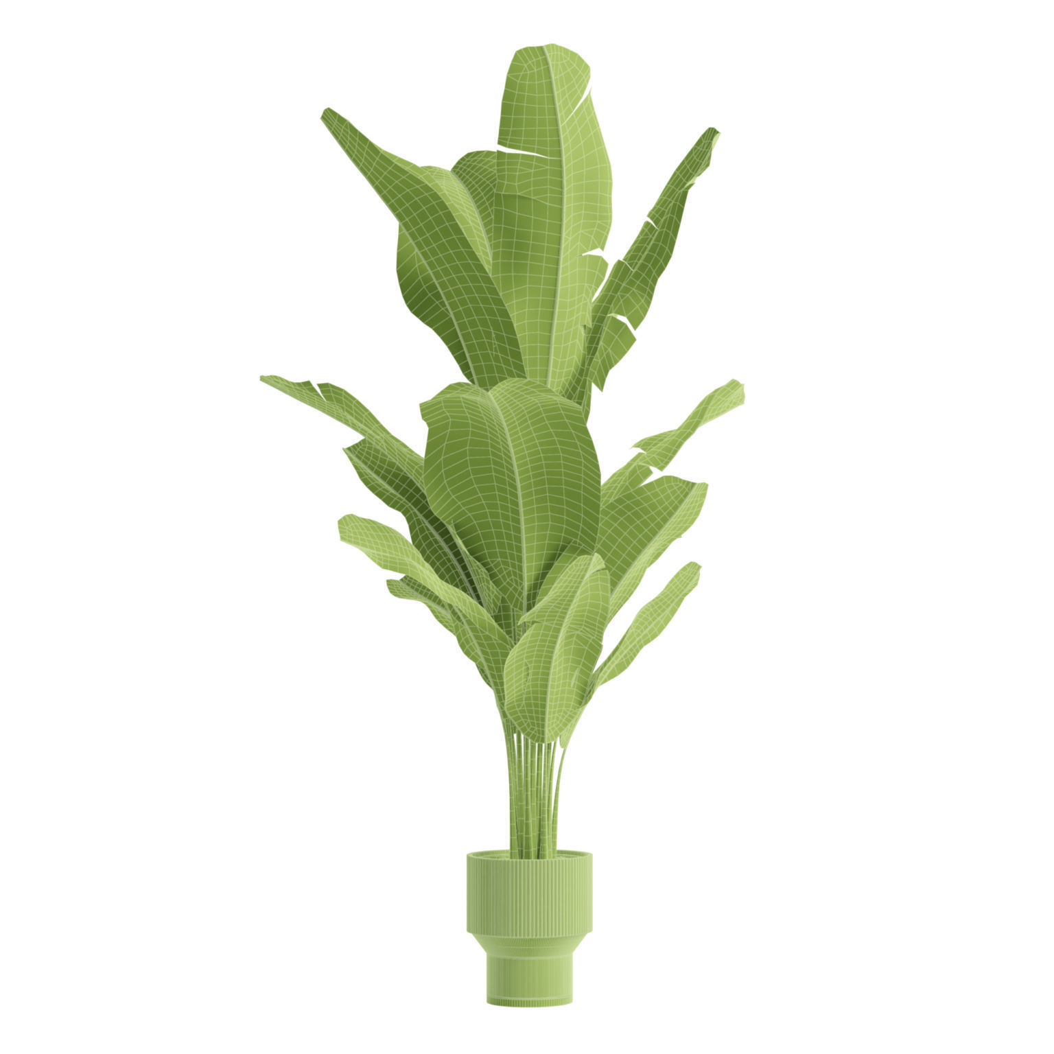 Indoor Plants Pack 79 3D model_4