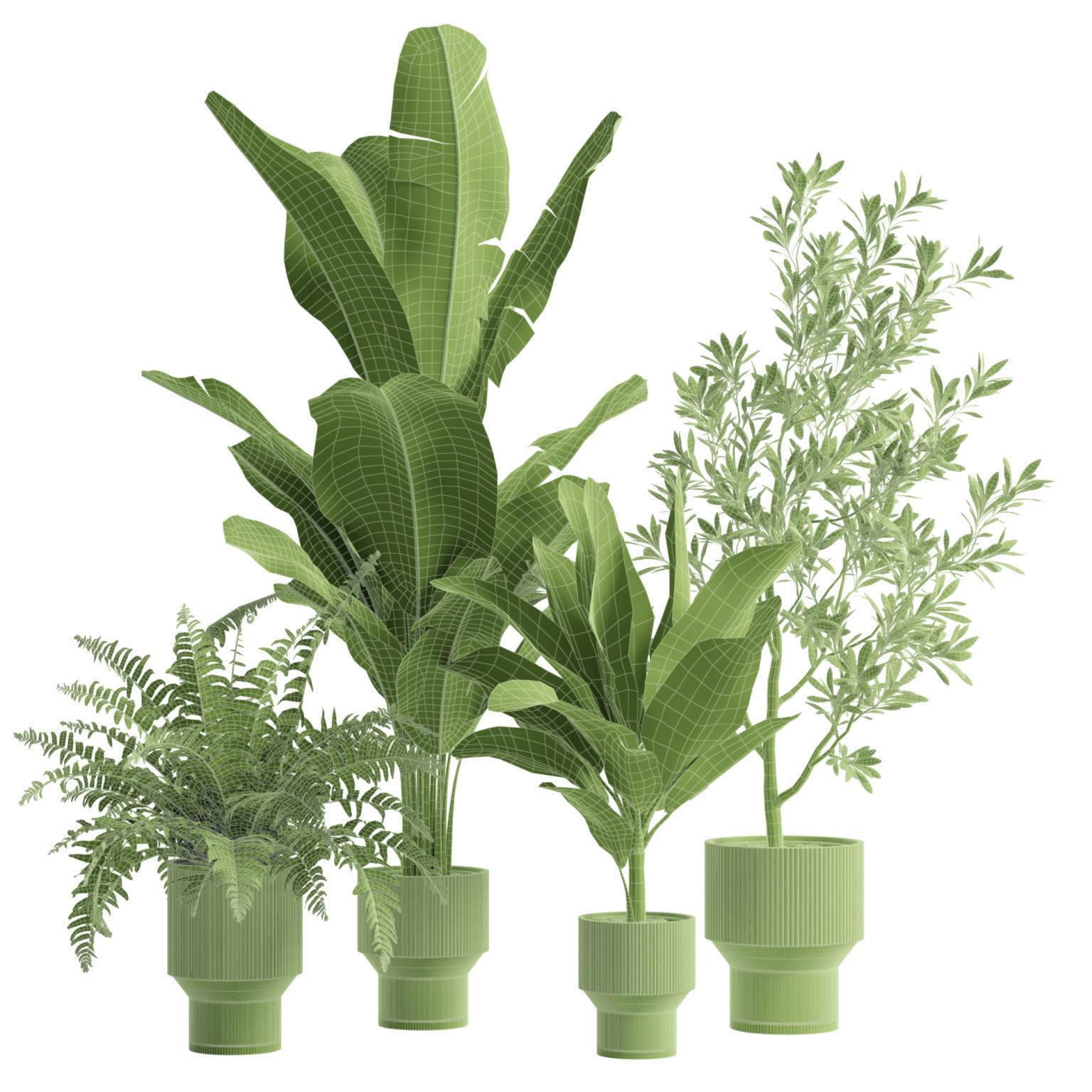 Indoor Plants Pack 79 3D model_2