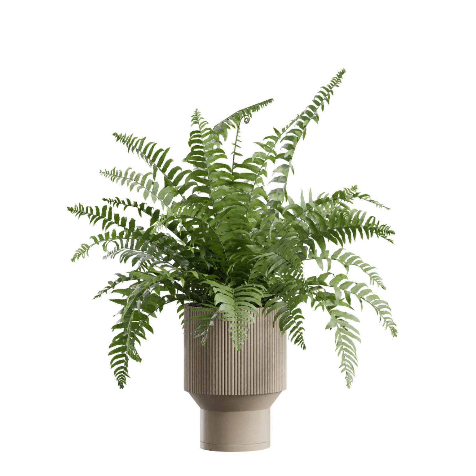 Indoor Plants Pack 79 3D model_7