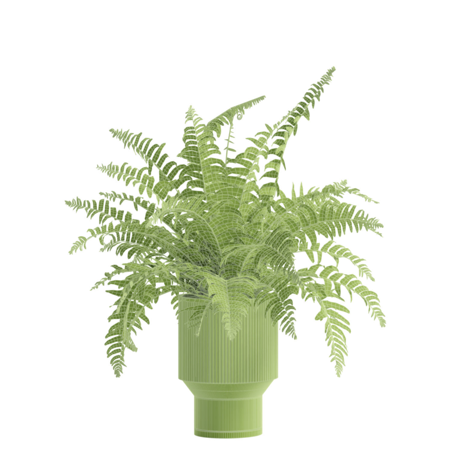 Indoor Plants Pack 79 3D model_8