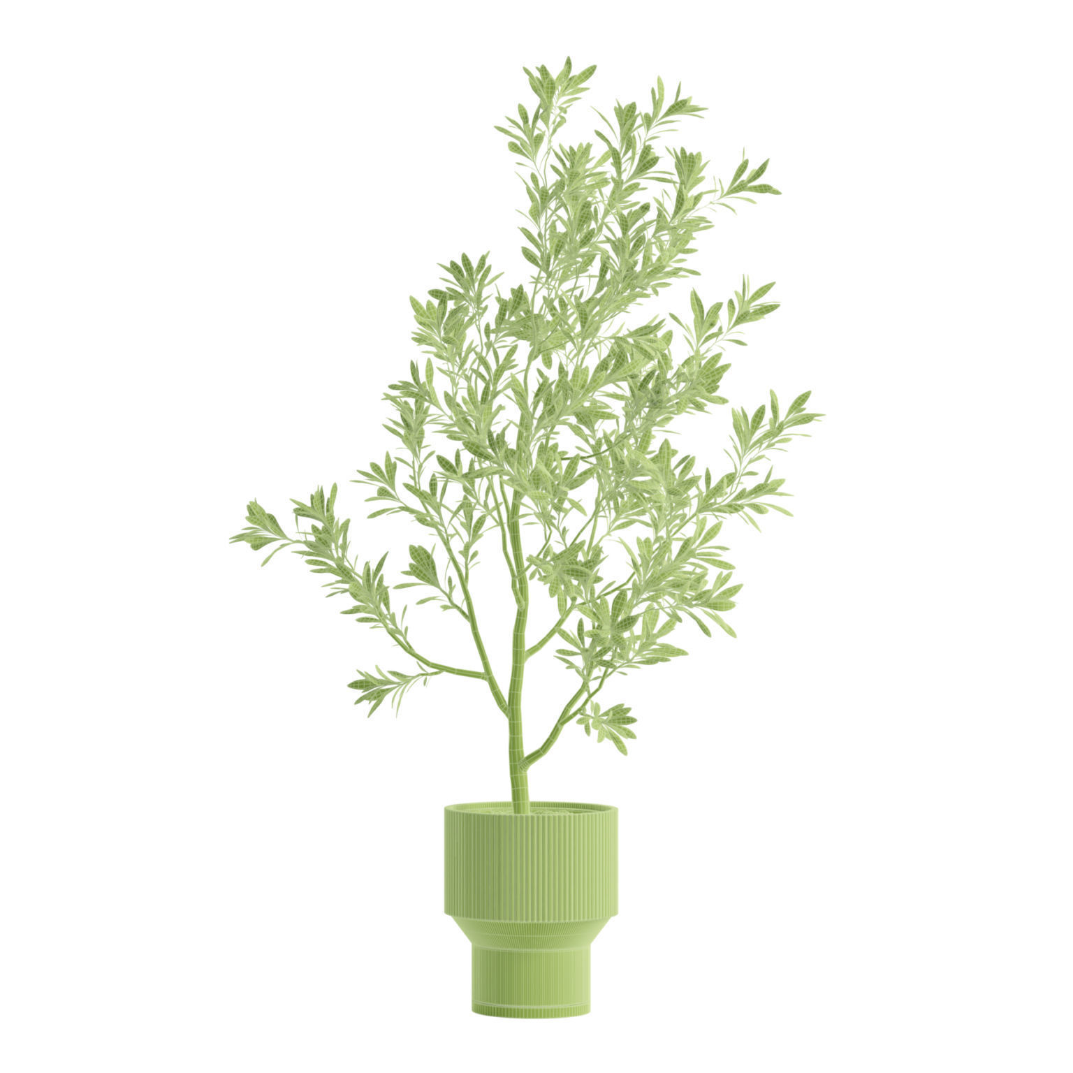 Indoor Plants Pack 79 3D model_6
