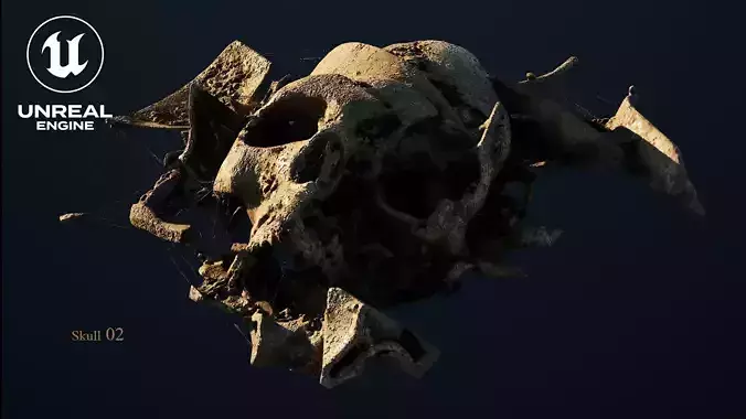 Broken Skull with Spiderwebs and Cobwebs for Unreal  Engine 5