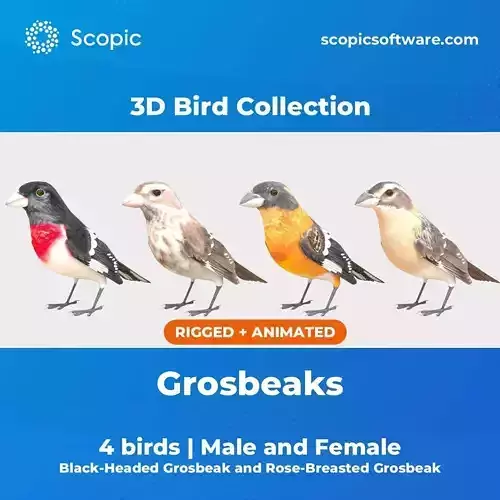 3D Bird Collection - Grosbeaks