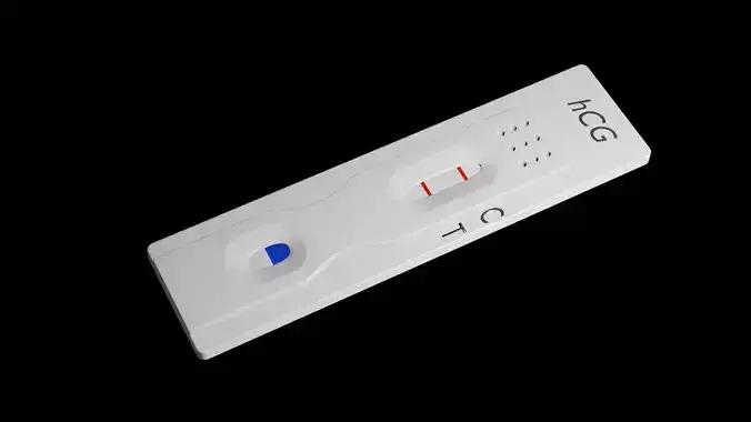 Pregnancy Test Kit