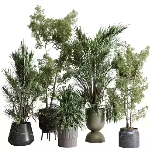 Tree palm in a concrete and marble vase - indoor Plants 562 3D model