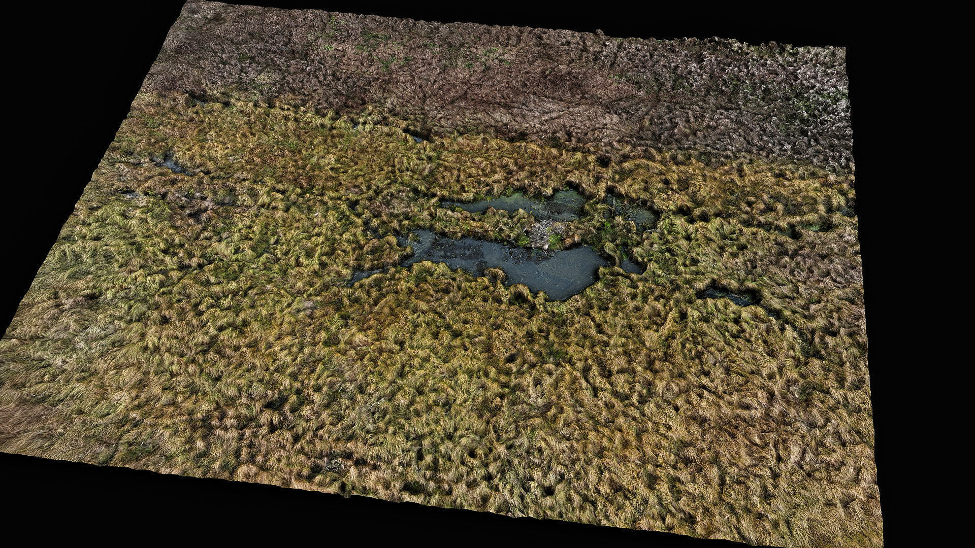 forest ground swamp grass fields area drone photogrammetry Low-poly 3D model_1
