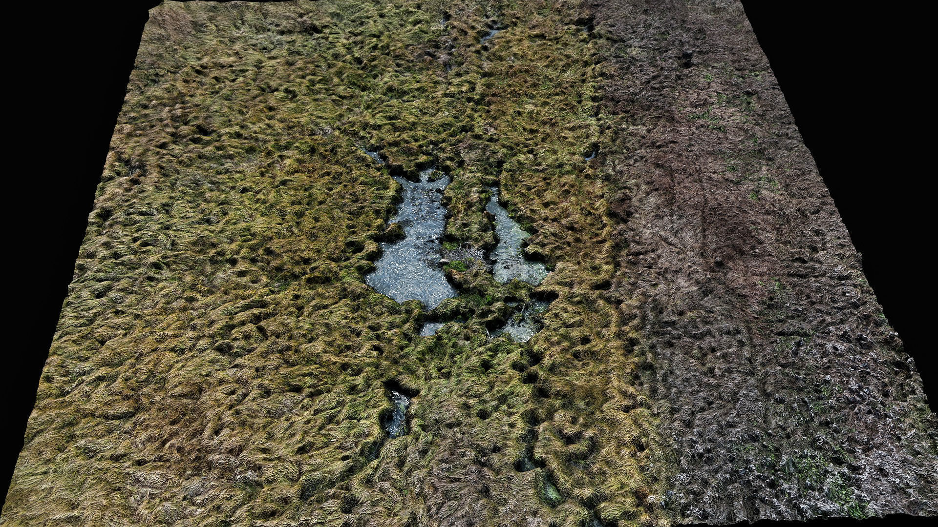 forest ground swamp grass fields area drone photogrammetry Low-poly 3D model_2