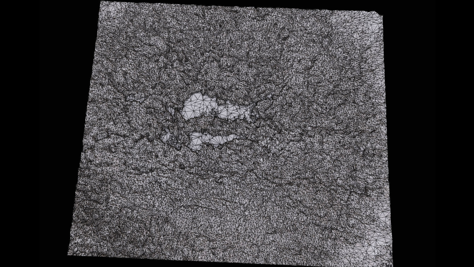 forest ground swamp grass fields area drone photogrammetry Low-poly 3D model_7