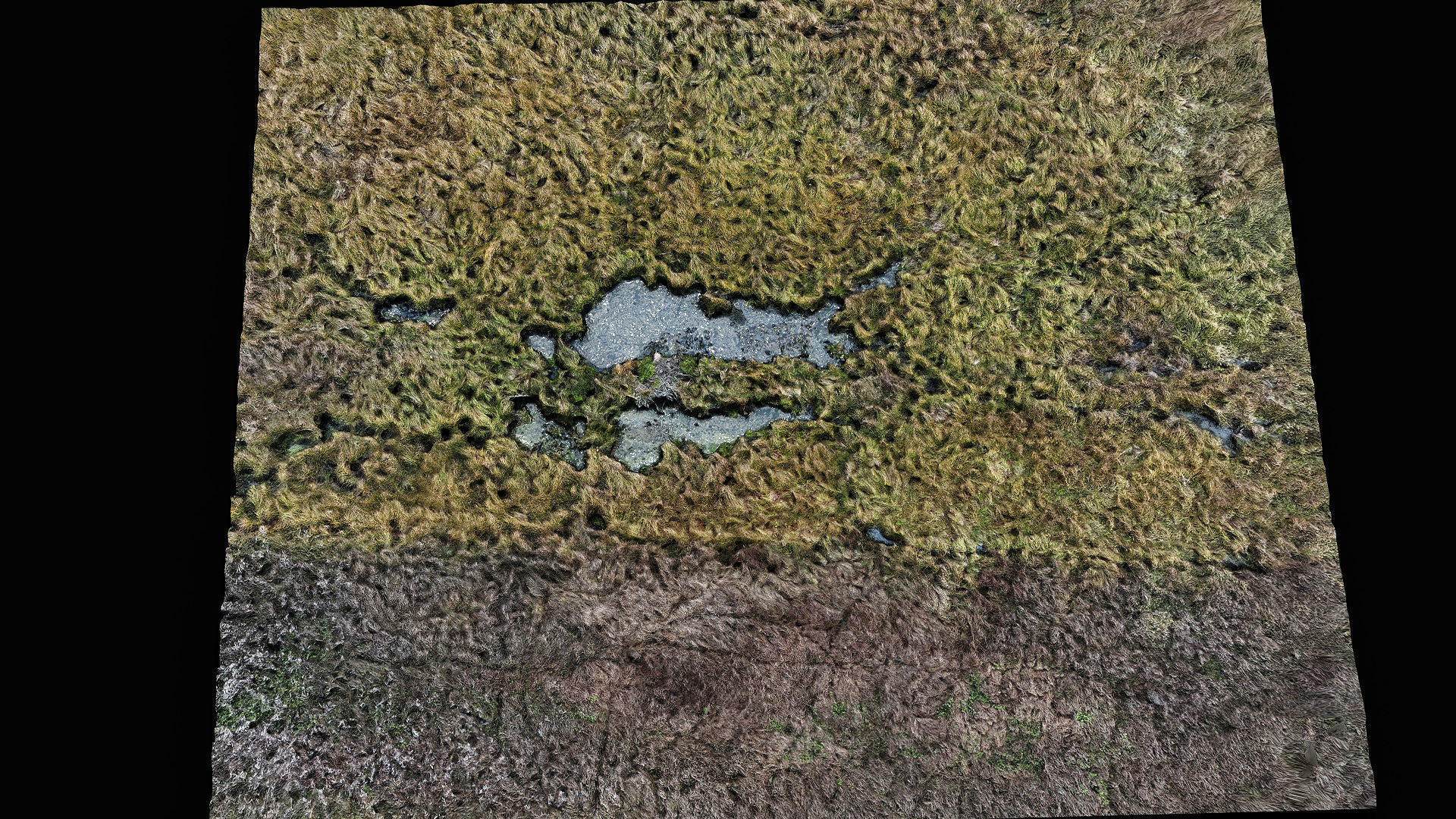 forest ground swamp grass fields area drone photogrammetry Low-poly 3D model_3