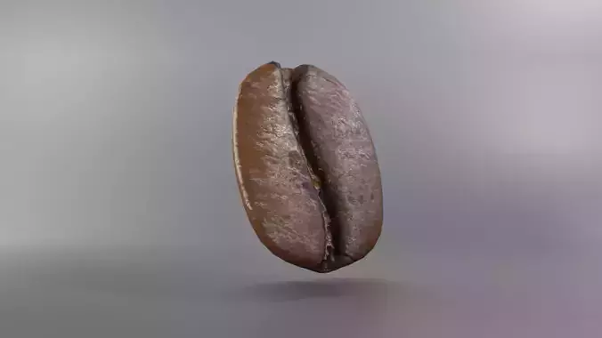 Medium Roast Coffee Bean 3D model