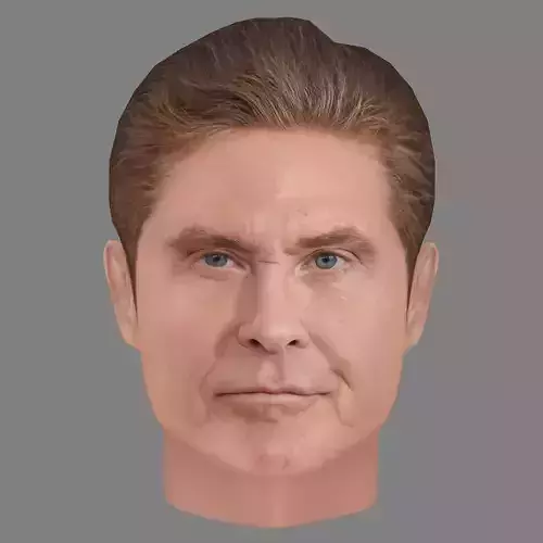 David Hasselhoff Head - Low poly head for game