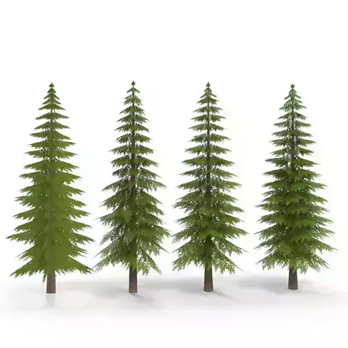 Canadian Spruce Tree Grean V1 Low-poly 3D model