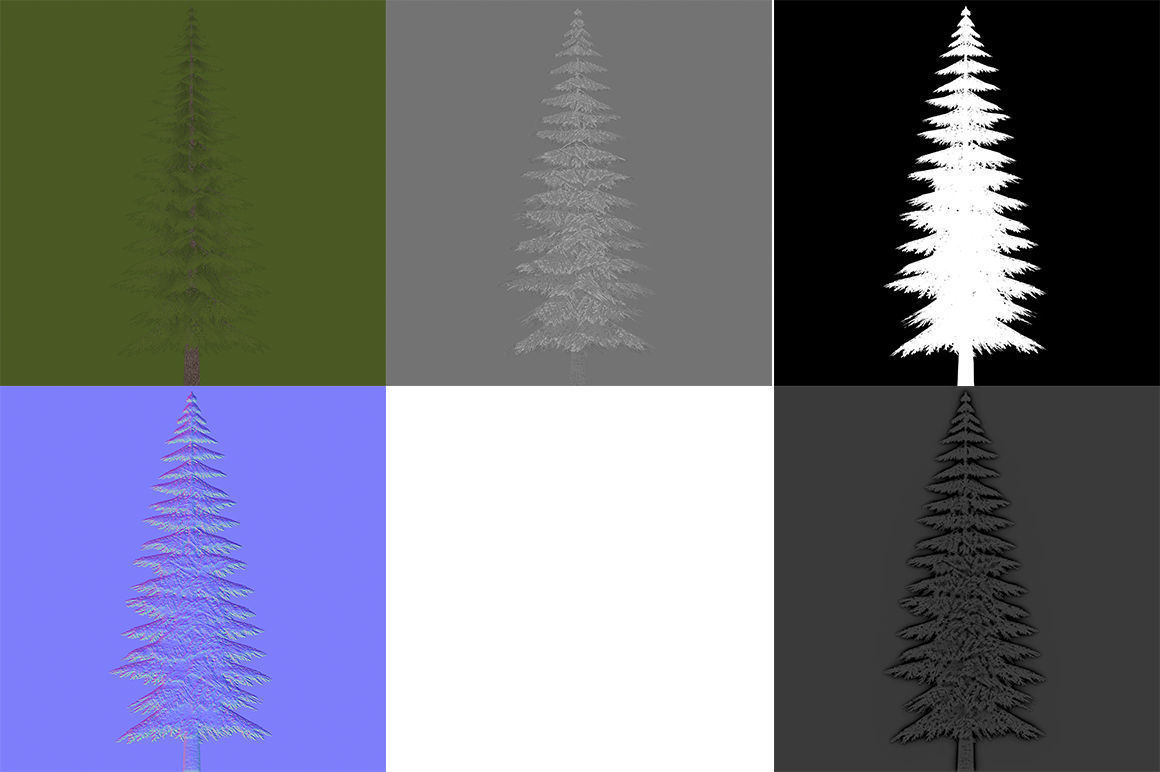 Canadian Spruce Tree Grean V1 Low-poly 3D model_9