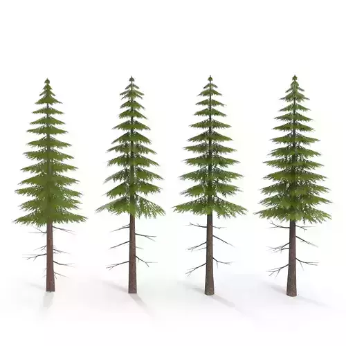 Canadian Spruce Tree Grean V3 Low-poly 3D model
