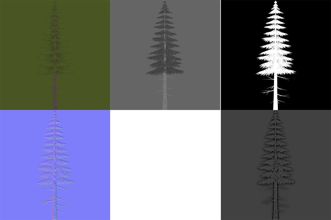 Canadian Spruce Tree Grean V3 Low-poly 3D model_9
