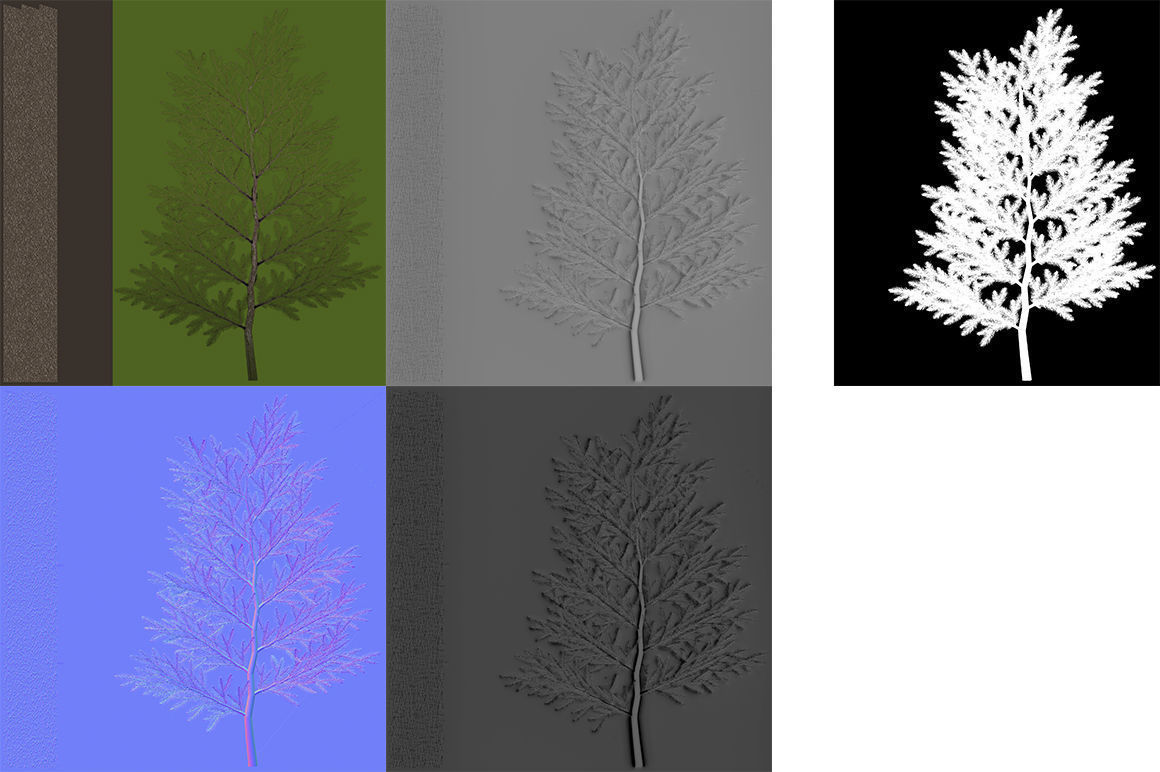 Canadian Spruce Tree Grean V3 Low-poly 3D model_8