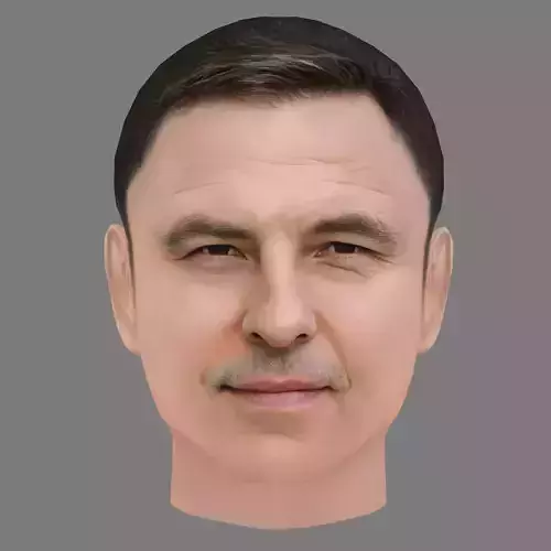 David Walliams Head - Low poly head for game