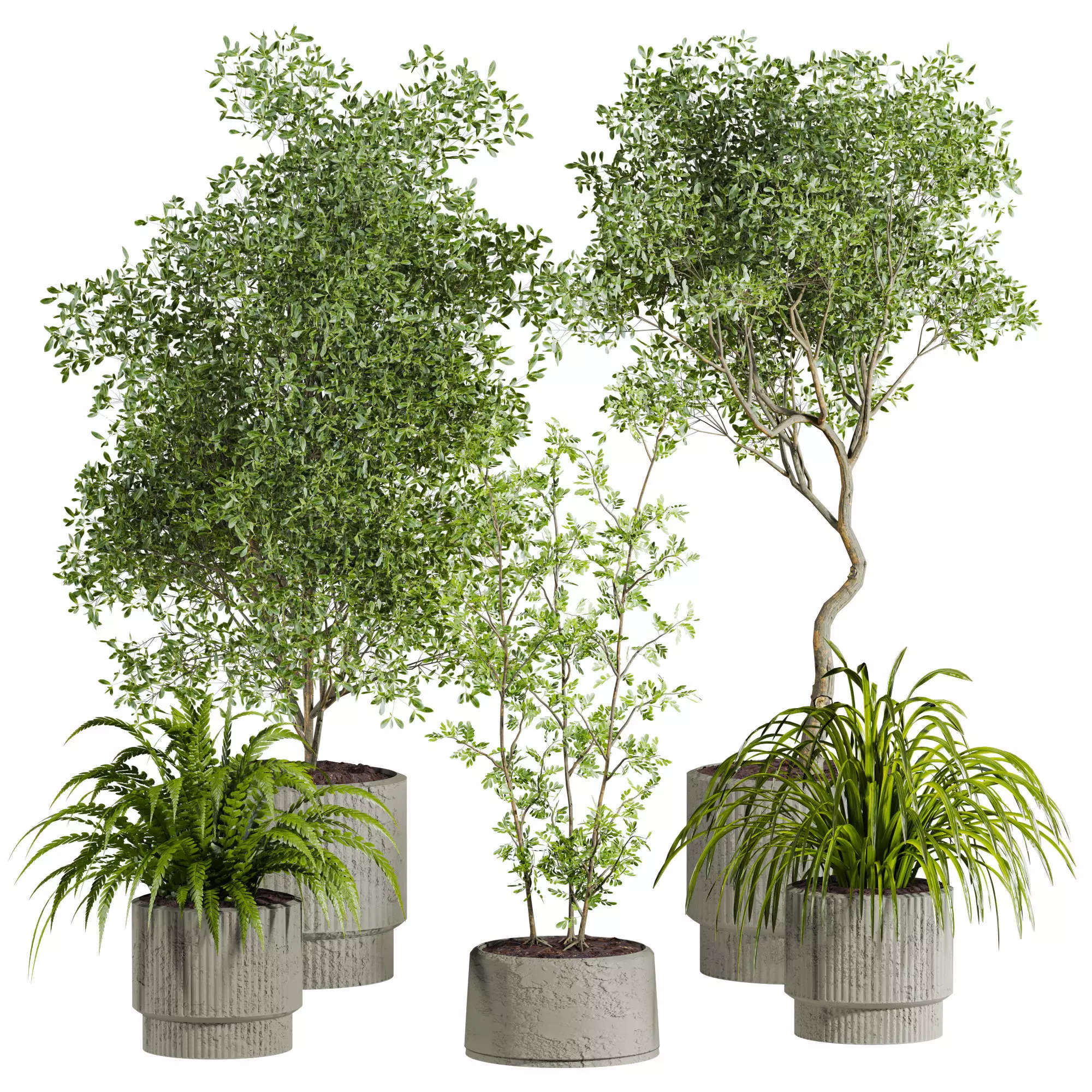 Plants set 3D model