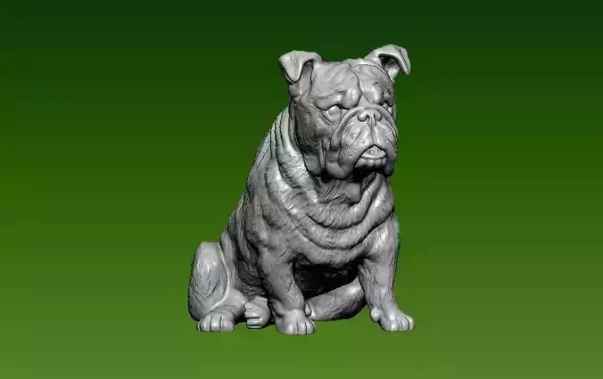 Bull dog - statue - 3D print