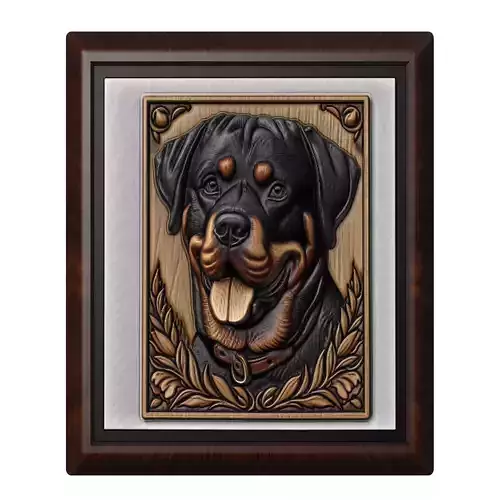 Dog Rottweiler Animal