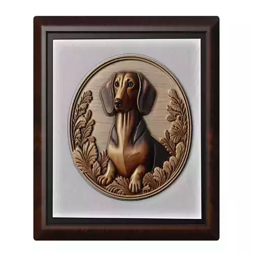 Dog Dachshund Animal