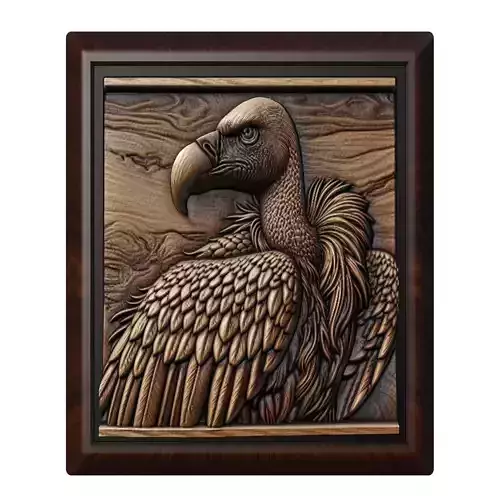 Vulture Animal