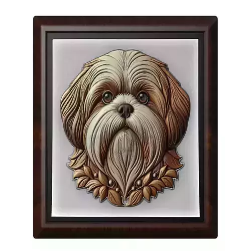 Dog Shih Tzu Animal