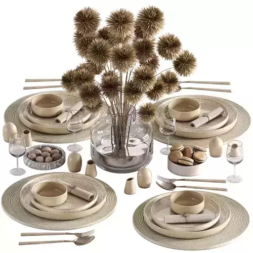 tableware setting N044