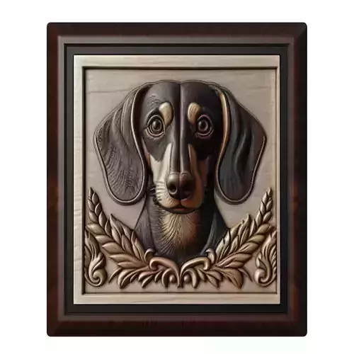 Dog Dachshund Animal