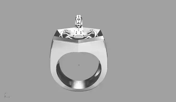 ring tyt 3D print model