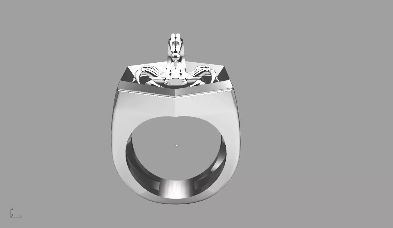 ring tyt 3D print model