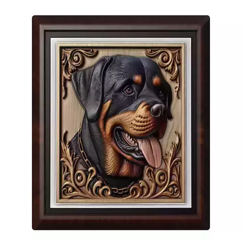 Dog Rottweiler Animal