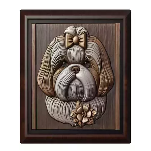 Dog Shih Tzu Animal