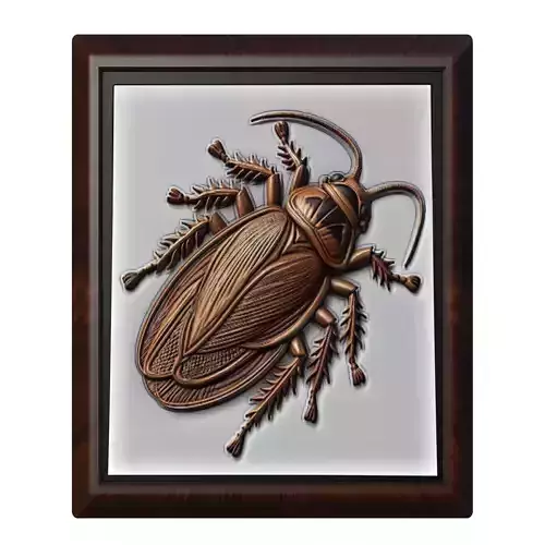 Cockroach Animal