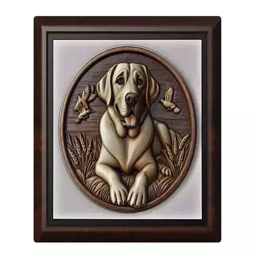 Dog Labrador Retriever Animal