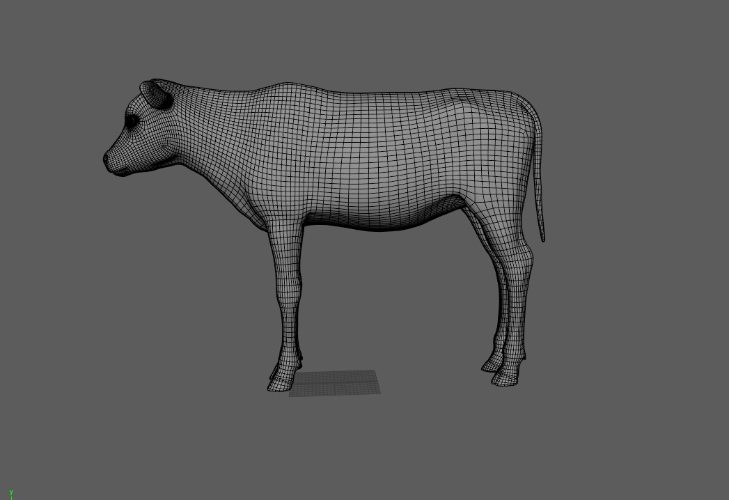 Realistic Cow Calf With Fur Rigged 3D model_19