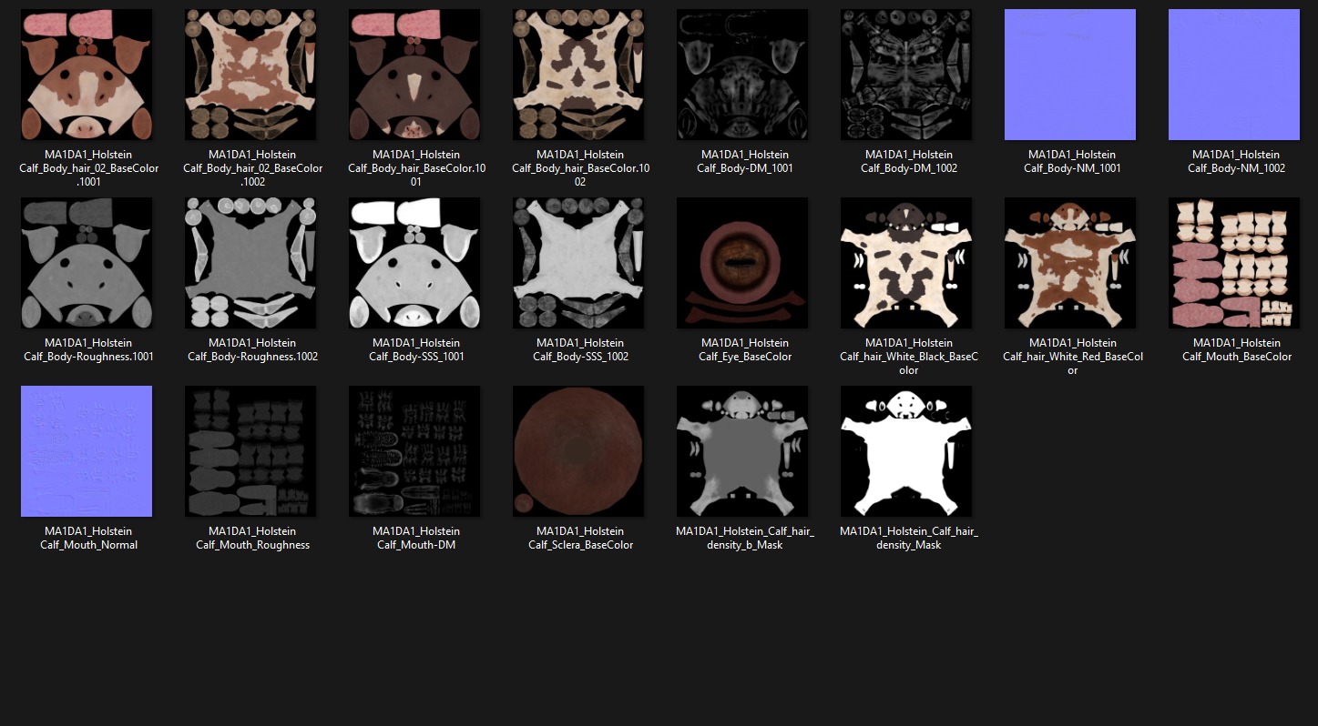 Realistic Cow Calf With Fur Rigged 3D model_24