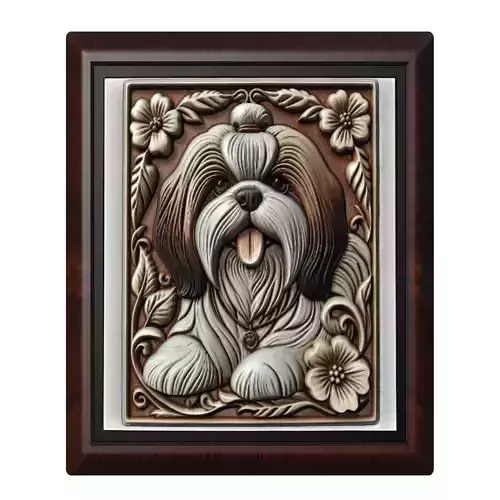 Dog Shih Tzu Animal