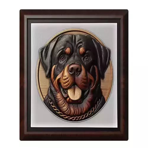 Dog Rottweiler Animal