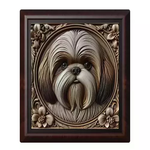 Dog Shih Tzu Animal