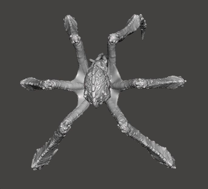 TITANUS SCYLLA KAIJU MONSTER MINIATURE MODEL FANTASY GAMES RPG 3D print model_6