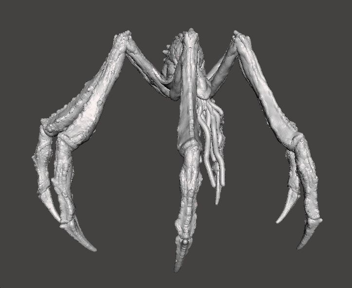 TITANUS SCYLLA KAIJU MONSTER MINIATURE MODEL FANTASY GAMES RPG 3D print model_2